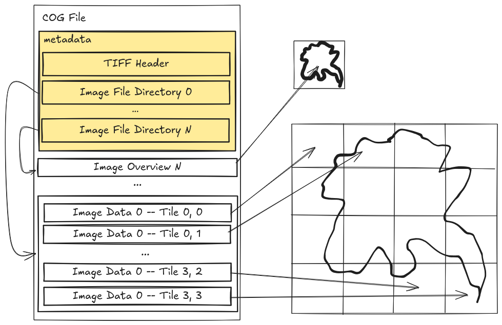 COG Diagram